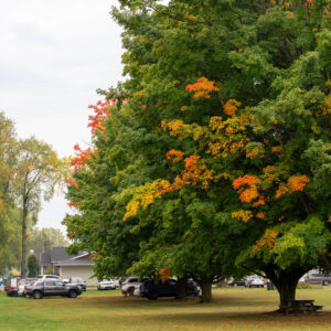 Press Release – LRC Leadership Transition