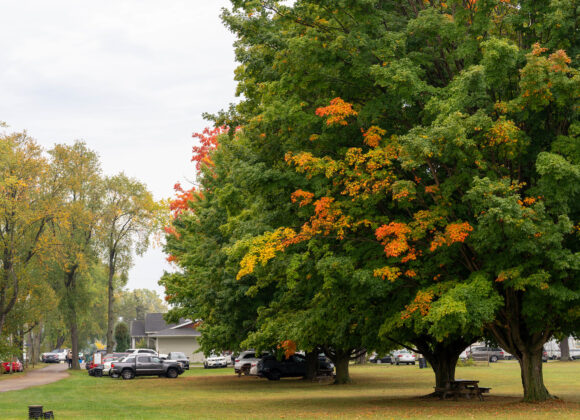 Press Release – LRC Leadership Transition