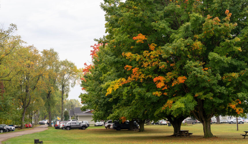 Press Release – LRC Leadership Transition